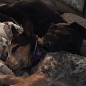 Meet your Posher, Kris